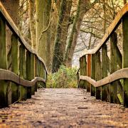 Pont